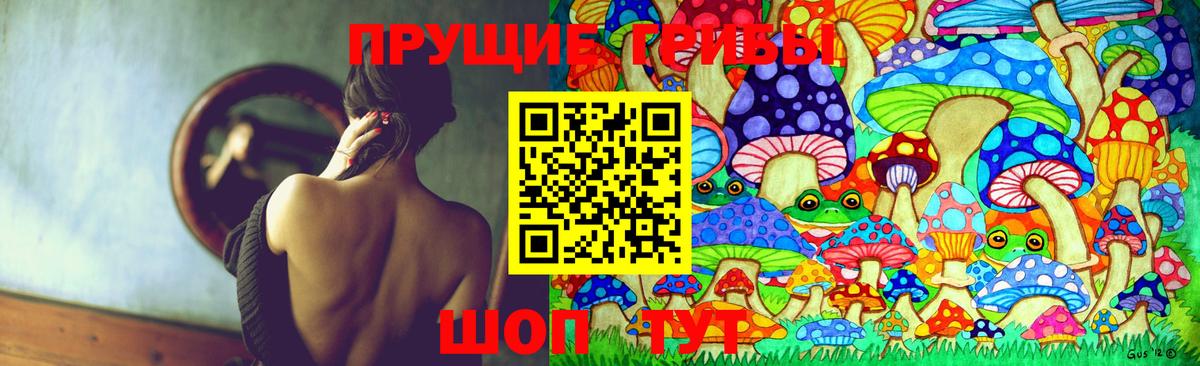 Нурлат  Галлюциногенные грибы Psilocybe  Вход с VPN  Галлюциногенные грибы Psilocybe 